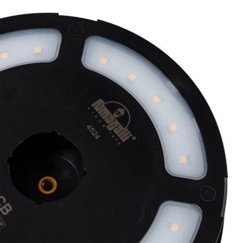 Oprawa ogrodowa Solar FIORINA Fumagalli Moduł LED z czujnikiem ruchu PIR 4000K 280lm 560 mm IP 55 czarny / tworzywo sztuczne