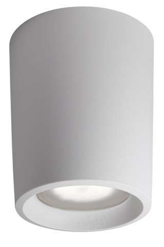 Oprawa sufitowa LIVIA 180 FROSTED Fumagalli E27 POWER LED CCT 15W 180 mm 3000K/4000K SET IP44 230V biały / tworzywo sztuczne