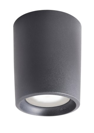 Oprawa sufitowa LIVIA 180 FROSTED Fumagalli E27 POWER LED CCT 15W 180 mm 3000K/4000K SET IP44 230V czarny / tworzywo sztuczne