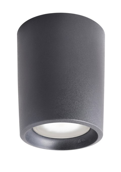 Oprawa sufitowa LIVIA 180 FROSTED Fumagalli E27 POWER LED CCT 15W 180 mm 3000K/4000K SET IP44 230V czarny / tworzywo sztuczne