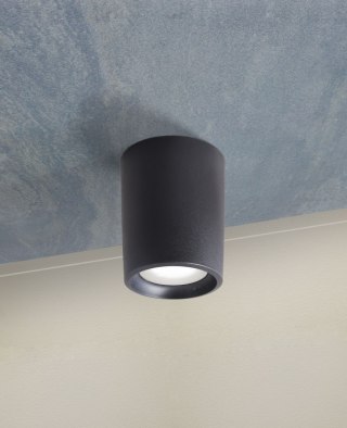 Oprawa sufitowa LIVIA 180 FROSTED Fumagalli E27 POWER LED CCT 15W 180 mm 3000K/4000K SET IP44 230V czarny / tworzywo sztuczne