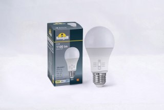 Źródło światła Fumagalli LED CCT E27 A60 11W 2700K/4000K/6500K mleczna 230V biały / tworzywo sztuczne