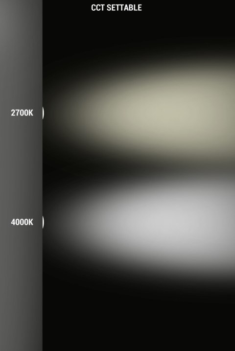 Źródło światła Fumagalli LED CCT GU10 2,9W 2700K/4000K 390lm 230V biały / tworzywo sztuczne