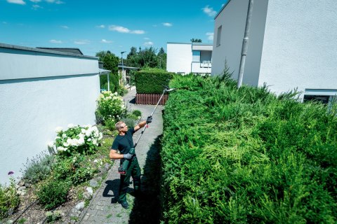 Przystawka - nożyce do żywopłotu MA-HS 50 Metabo 601726850