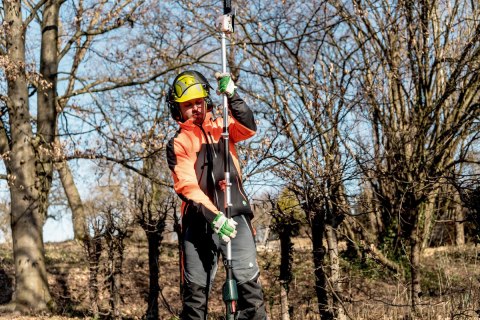 Przystawka - podkrzesywarka MA-MS 25 Metabo 601727850