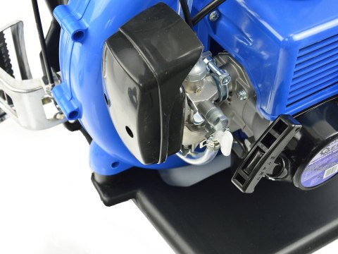 Opryskiwacz spalinowy 20L (1) Geko