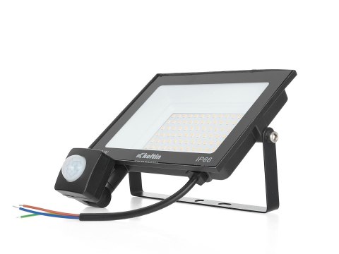 Naświetlacz LED 50W z czujnikiem ruchu - barwa biała ciepła 2700K