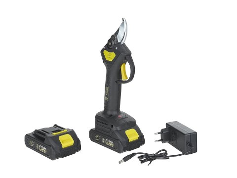 Sekator akumulatorowy 30mm w walizce 2x2.0Ah 21V z wysięgnikiem teleskopowym 1.65-2.50m