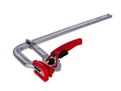 Ścisk zapadkowy kuty typu F 300x100mm