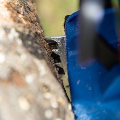 Bezszczotkowa piła łańcuchowa BC-CS355-Duo-X 20 V IXES Scheppach