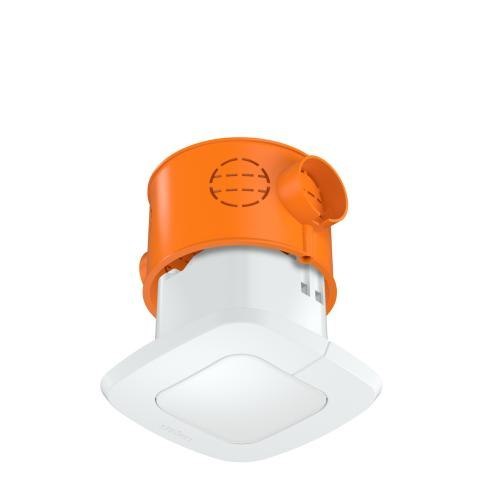 Czujnik obecności i zmierzchu Steinel IR Quattro SLIM XS DALI-2 IPD podtynkowy IP20 kwadrat biały
