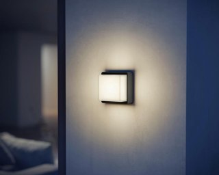 Lampa elewacyjna bez czujnika Steinel L 845 C LED Bluetooth Mesh Connect 9W 3000K 719lm IP44 IK03 230V antracyt / aluminium