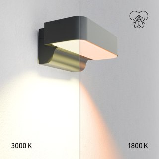 Lampa elewacyjna z czujnikiem ruchu i zmierzchu Steinel L 800 SC LED 7,7W Bluetooth Mesh STEINEL Connect przyjazny dla owadów 18